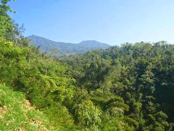 Land for sale 190 Are in Tiyingan, Bali AG506