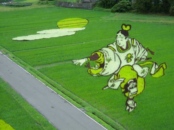 MELUKIS SAWAH SENI UNIK DARI JEPANG