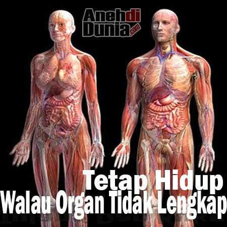 Mengintip Rere memasang Onderdil