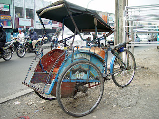 Jenis-Jenis Becak Penghuni Tanah Air