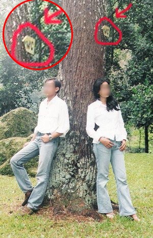 mau liat foto Prawedding yg gagal? sini masuk!!