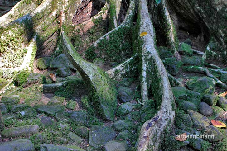 &#91;CoC Regional: Lokasi Wisata&#93; Situs Batur Agung Kedungbanteng Banyumas
