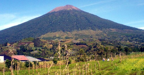 &#91;CoC Regional: Lokasi Wisata&#93; 5 Wisata di Purwokerto Berpengunjung Banyak Murah