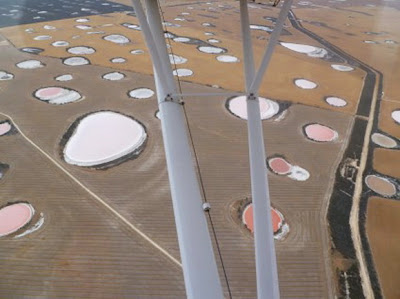 8 Danau Berwarna Pink