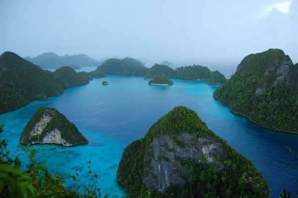 7 Taman Laut Terindah di Indonesia