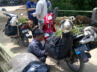 Kumpulan foto lucu dan gokil khas indonesia yang bikin ketawa 