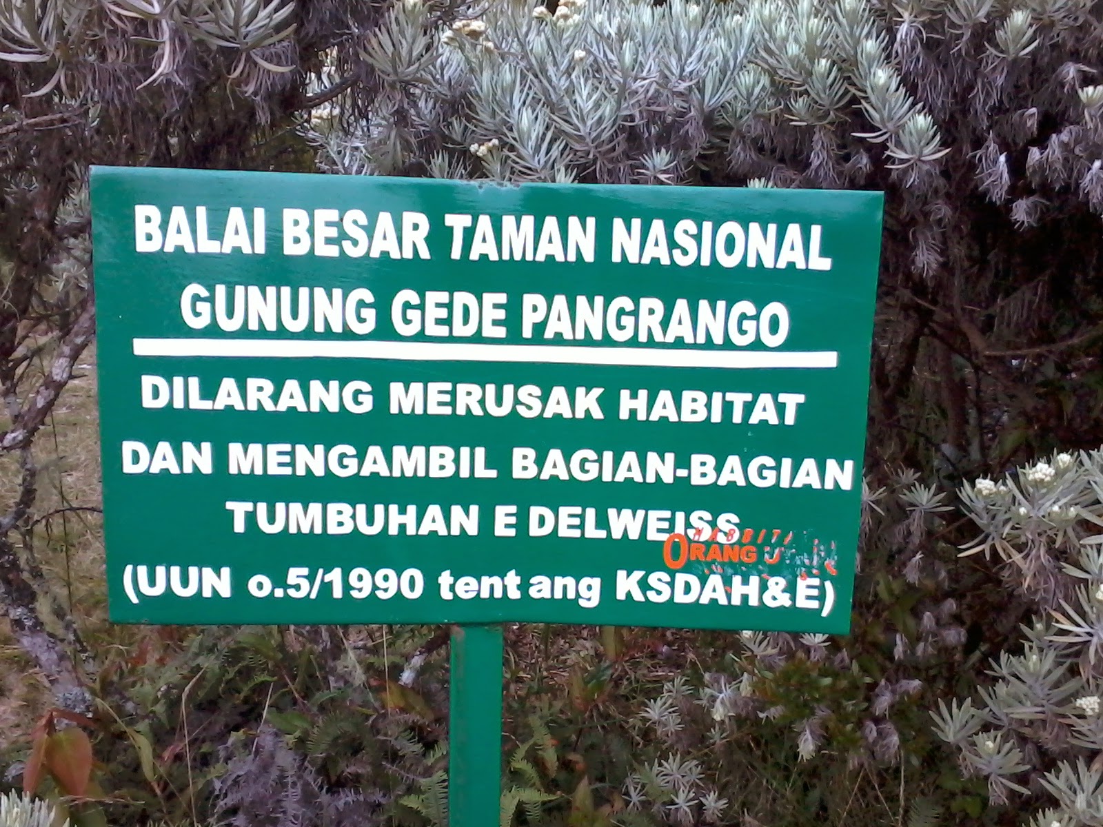 (PECINTA ALAM ALAY MASUK)ATURAN YANG WAJIB DITAATI KETIKA MENDAKI GUNUNG!!!
