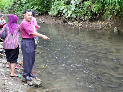 Ikan Jurung di Desa Rianiate Diyakini Keramat, Tak Ada yang Berani Ambil Ikan Ini