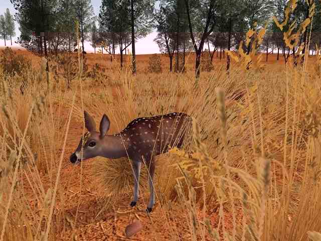 Deer Hunter Series