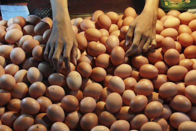 Harga Telur Ayam Menjelang Puasa Dan Ramadhan Meroket