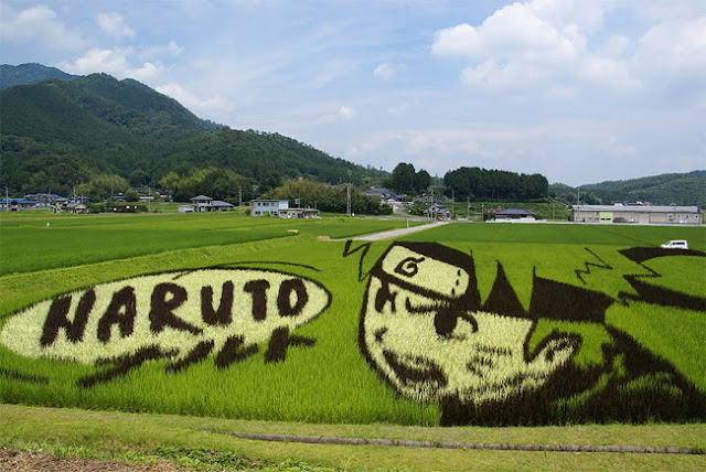 9 Design Unik Sawah di Jepang, Yang Bikin Agan Pingin Foto Disana!