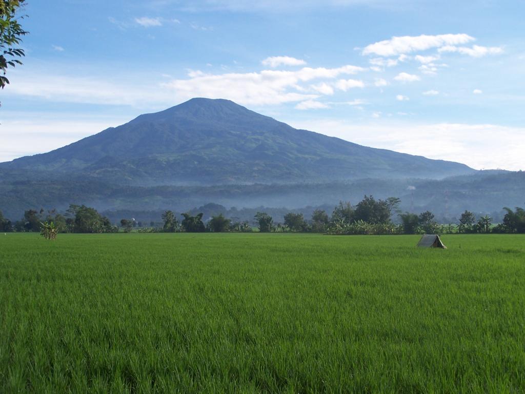 Penat Soal Politik, Ane Back To Nature Ajalah gak mau Ribet N ilangin sumpek