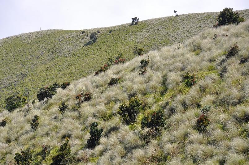 Menjelajah 7 Gunung Terindah di Indonesia Tercinta
