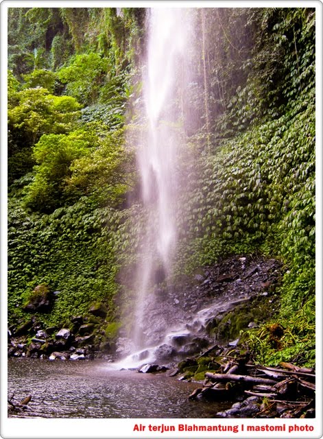 &#91;WoW&#93; Keindahan Alam dari Air terjun Blahmantung, Bali