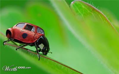 Kreasi-kreasi foto serangga sotosop tingkat dewa! keren bgt gan!