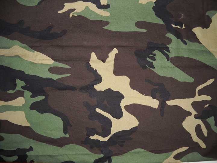 Menguak Alasan Warna Loreng Identik dengan Pakaian Militer