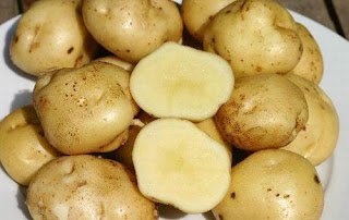 10 Macam Masakan Termahal di Dunia