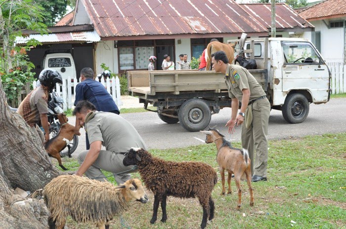 5-pasukan-elite-indonesia