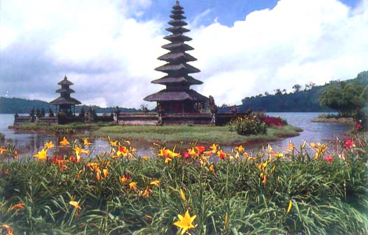 Kangen Suasana Bali, Buronan Menyerahkan Diri ke Polsek Kuta