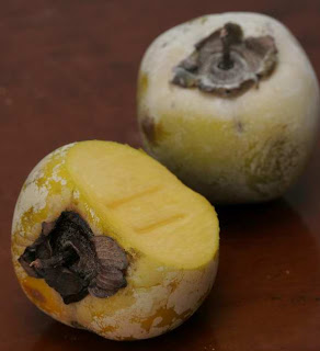 Buah Tersehat Yang Banyak di Indonesia