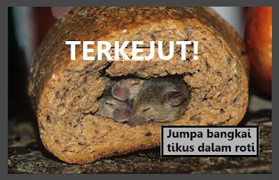 roti-isi-tikus-parah