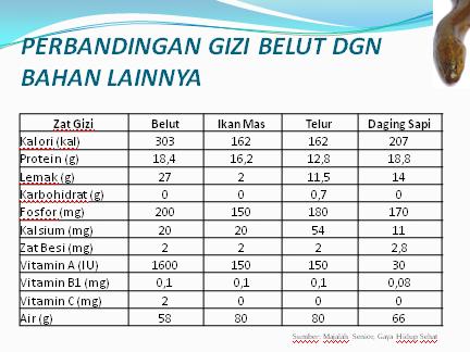 1001 manfaat dari bentuk nya yg aneh dan menggelikan