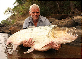 10 Ikan Terganas dan Paling Mematikan di Dunia