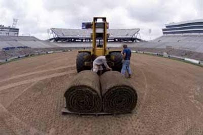 Inilah Proses Pembuatan Rumput Stadion Di Luar Negeri