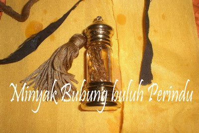 ~~Buluh PERINDU Asli Lawan Arus....Inilah Buluh Perindu yang asli~~