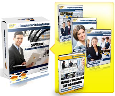 Paket Soft ERP: SAP IDES R/3 + Simulator + CBTs + Video + Interview Books