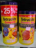 solo-freshwater-fish-community