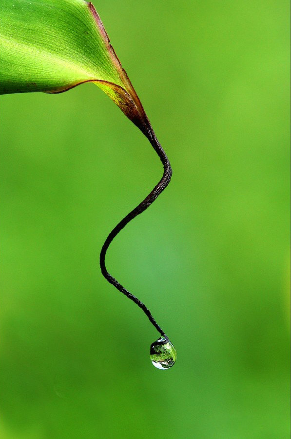 WOW, Foto Karya &quot;ANAK CIBINONG&quot; Ini Mendunia