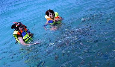 Tempat Snorkeling &amp; Diving Paling Top di Kep Seribu