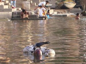 Kontroversi Tentang Air Sungai Gangga Layak Di Minum