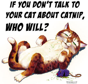 Biji "Ganja" nya kucing, Catnip !