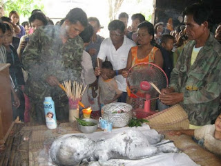 Mahluk aneh ditemukan di pedalaman hutan Thailand