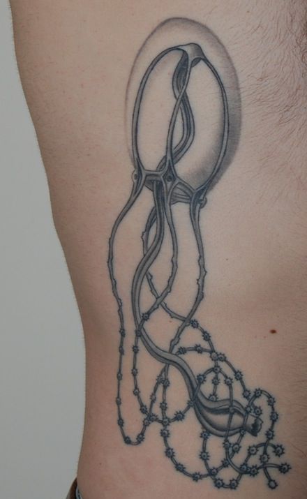 &#91;PIC++&#93; Tato Sains Yang Unik Dan Kreatif