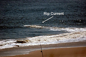 Waspadai Rip Current dan Cara Mengatasinya