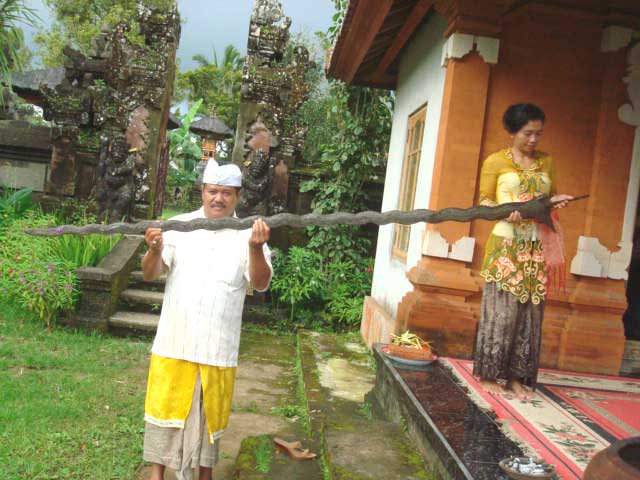 Ki Kebo Iwa, Panglima Perang Yang Diperdaya Kelicikan Gajah Mada