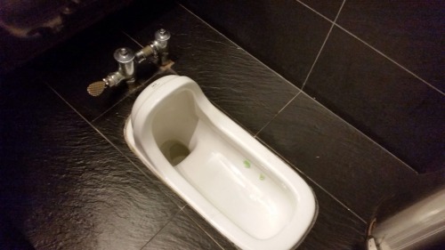 Toilet Duduk apa Toilet Jongkok?