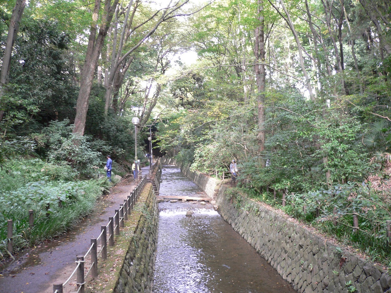 &#91;FR&#93; Tokyo in 8 days October 27 - November 4 2015