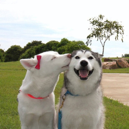 &#91;UPDATED&#93; L O V E