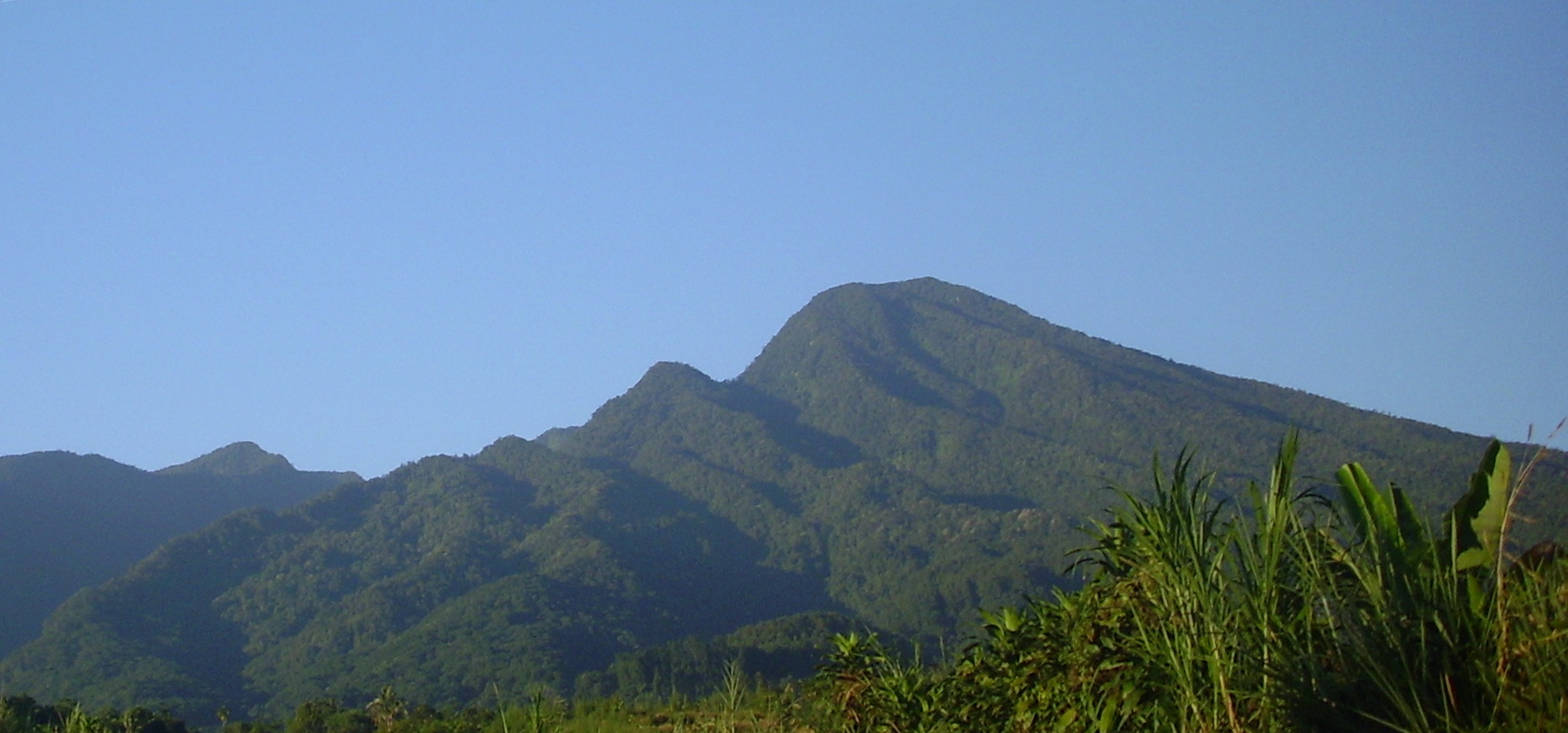 (Pendaki Masuk) 4 gunung angker di Jawa 