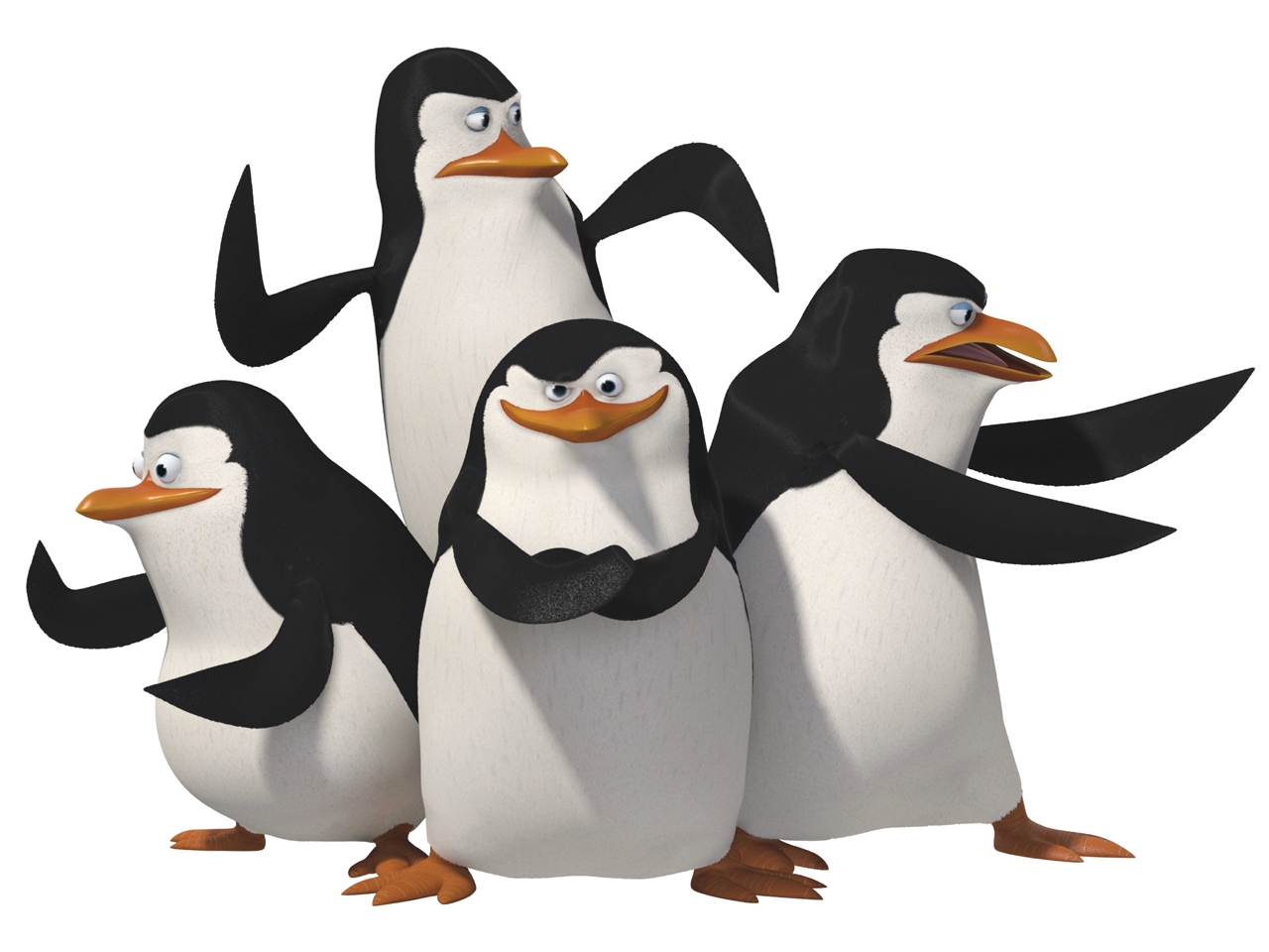 serius-gan-ane-barusan-nemu-pinguin-di-rumah-ane