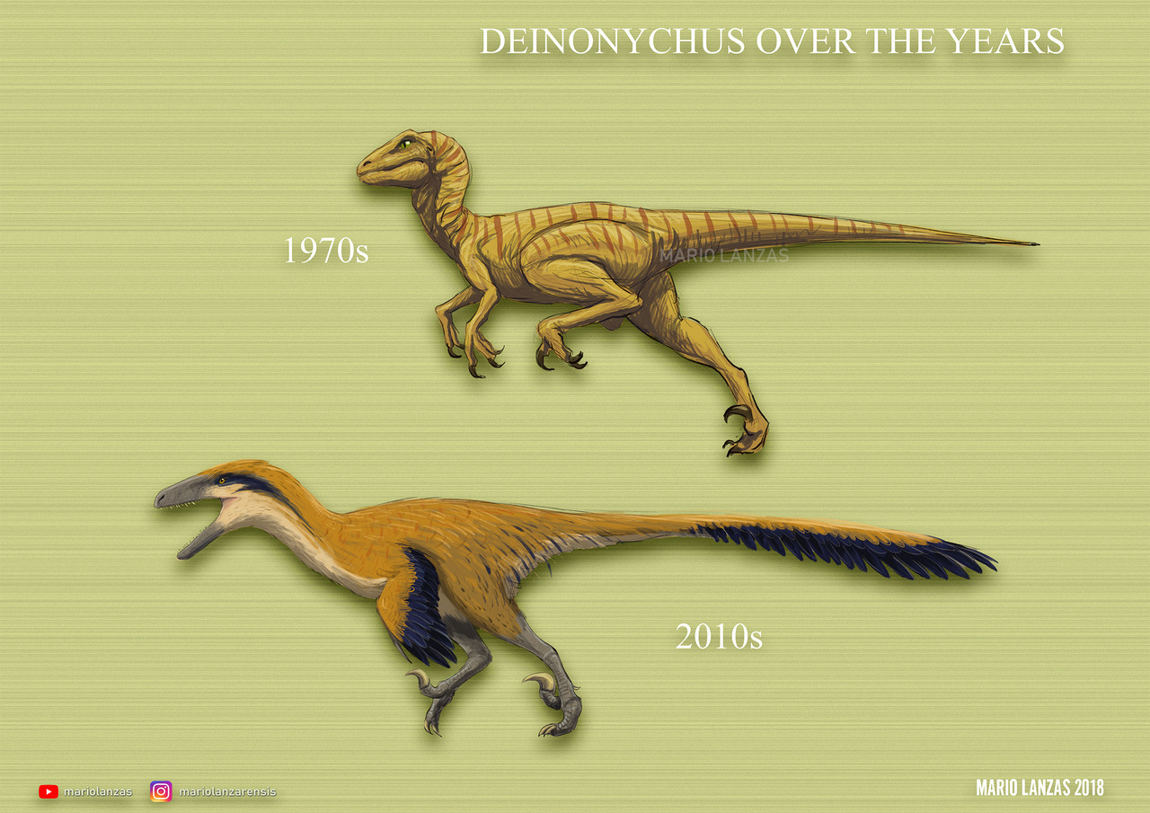 Terus Berubah! Inilah perubahan Wujud Dinosaurus dari Masa ke Masa!