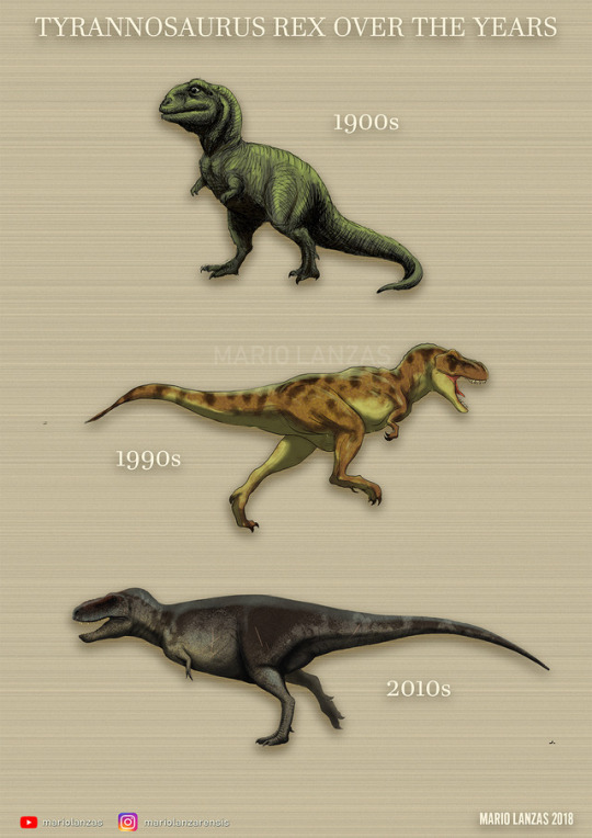 Terus Berubah! Inilah perubahan Wujud Dinosaurus dari Masa ke Masa!