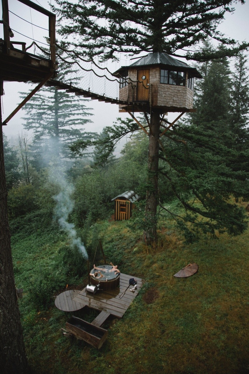 The Cinder Cone Treehouse: Rumah Pohon yang Nyaman di Tengah Alam