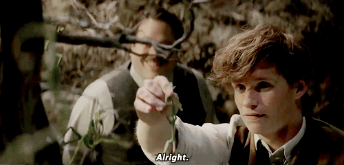 11 Fakta GUuILAAAkK Lak Laak!!! Ada apa dgn NEWT SCAMANDER dan HARRY POTTER????