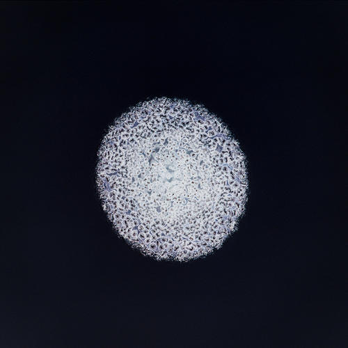 Foto-foto Narkoba jika dilihat dari mikroskop