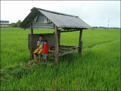 Buah karya Raja Surakarta untuk petani